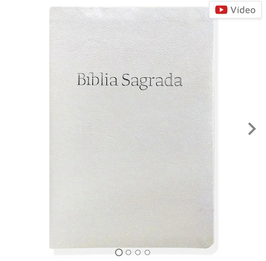 Holy Bible