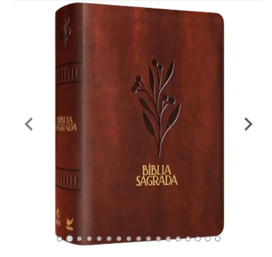Women's Bible
