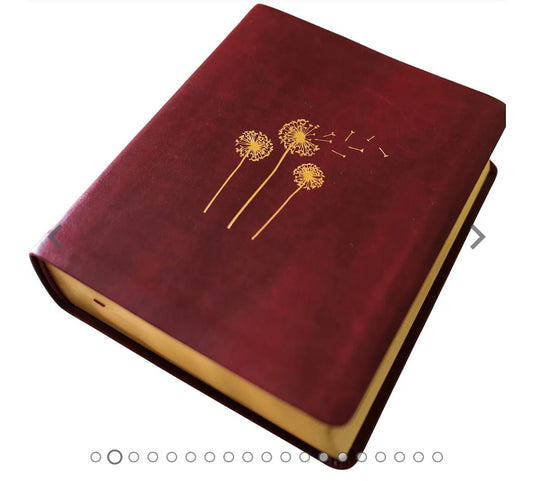 Bible for Women