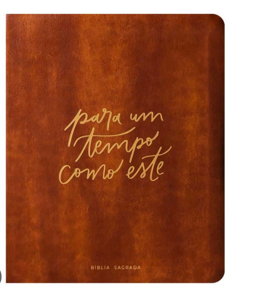 Bible For a Time Such as This